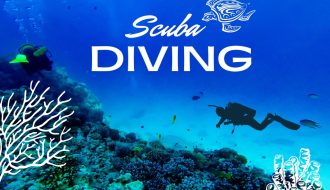 Scuba Diving in Andaman's