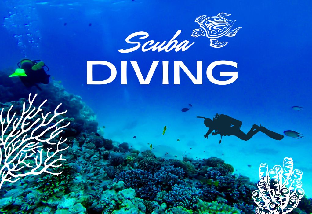 Scuba Diving in Andaman's